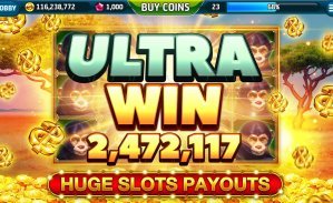 8277bet